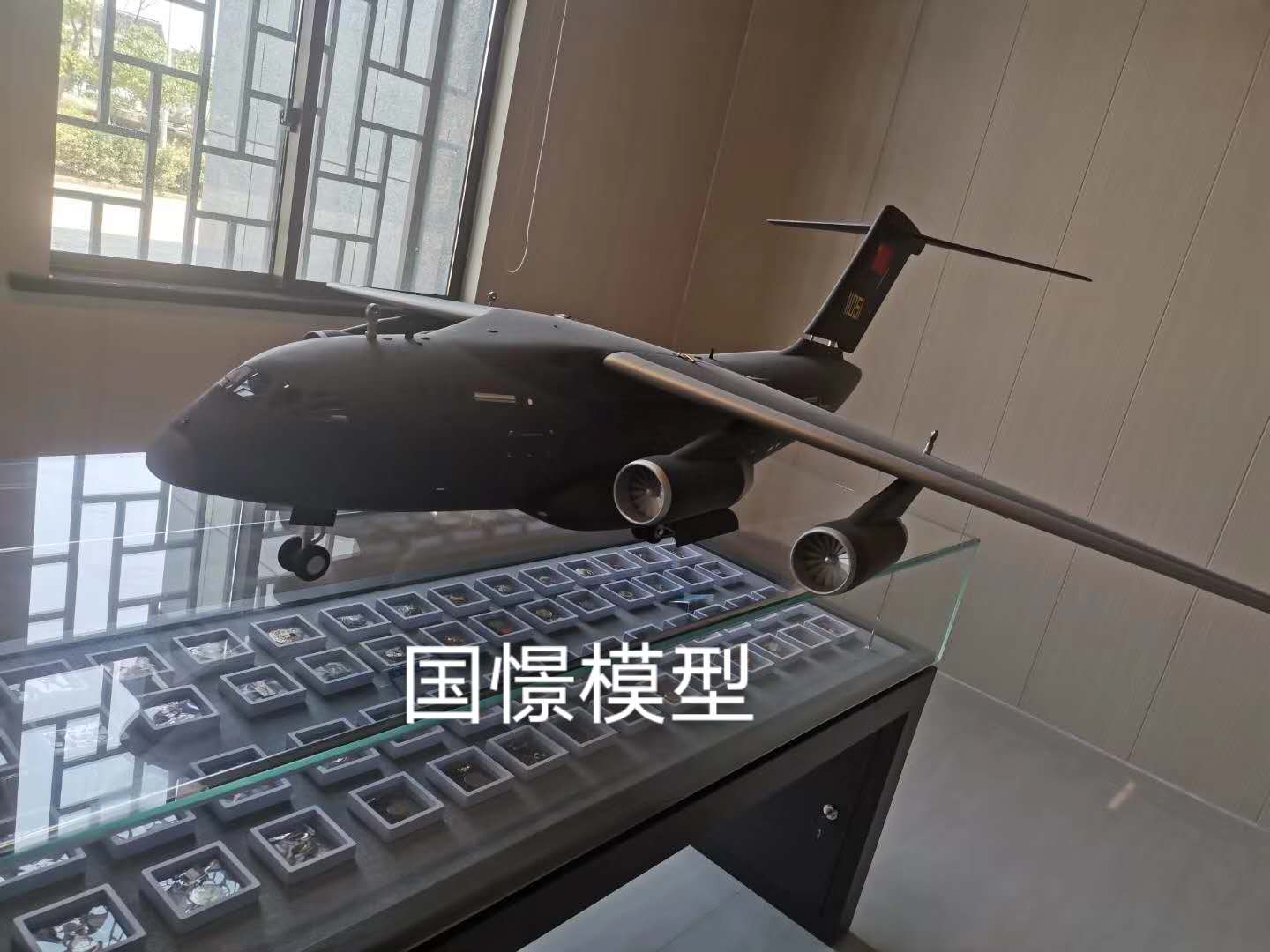 桂平市飞机模型