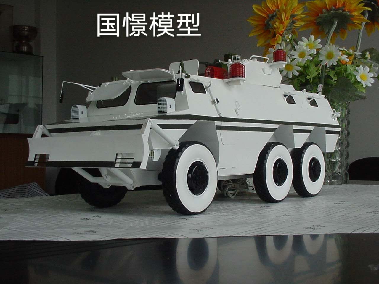 桂平市军事模型