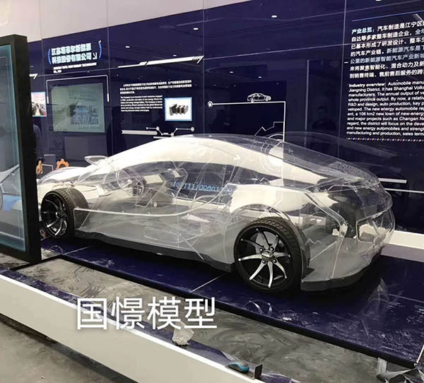 桂平市透明车模型